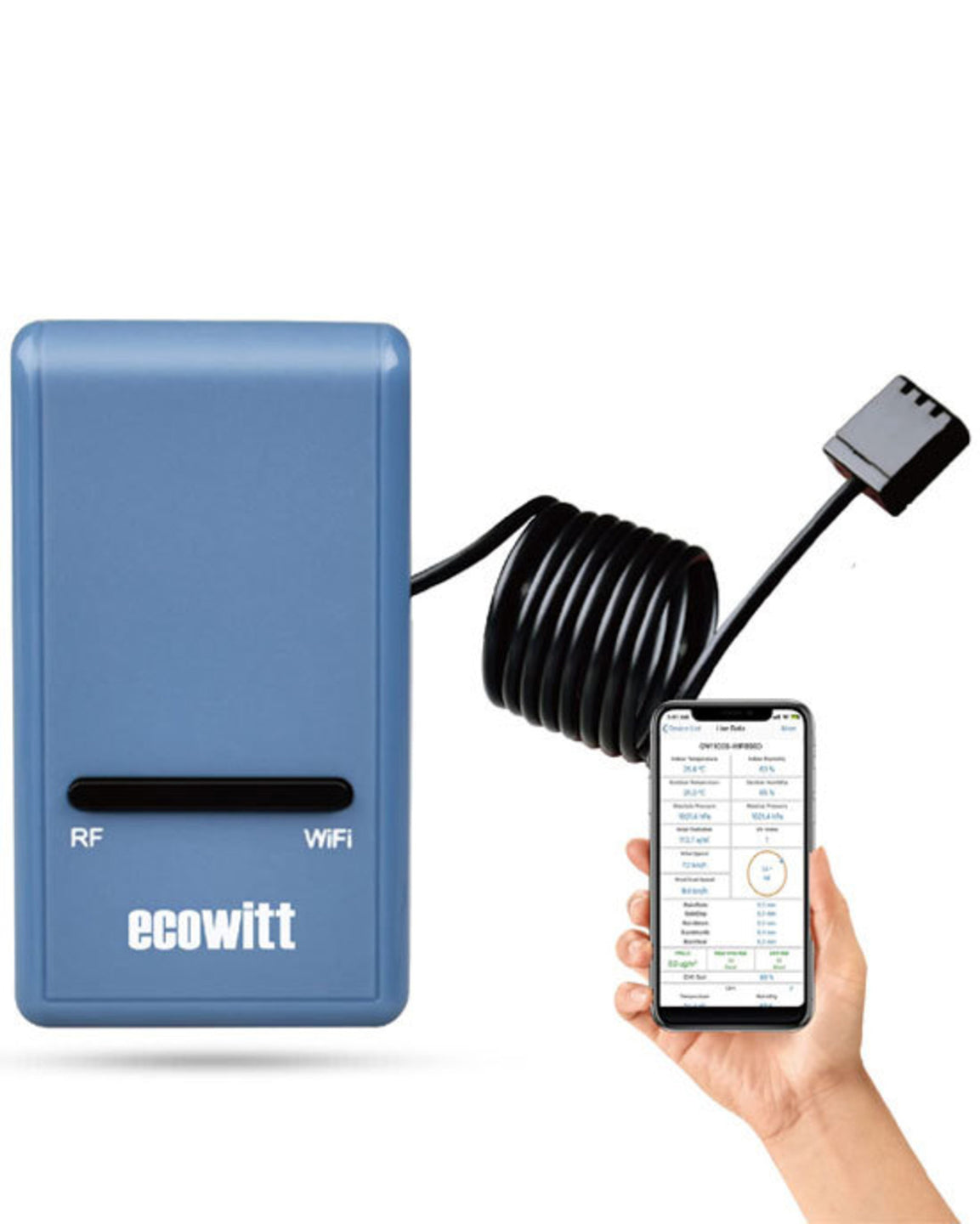 ECOWITT GW1100 Smart Hub WIFI Gateway device with an extended cable, showing the side with RF and WiFi indicators, held in one hand and a smartphone in the other hand displaying connected device information.